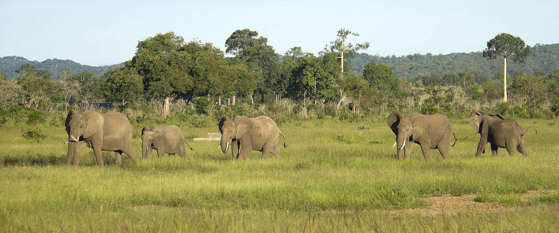 Kwamongo Expedition